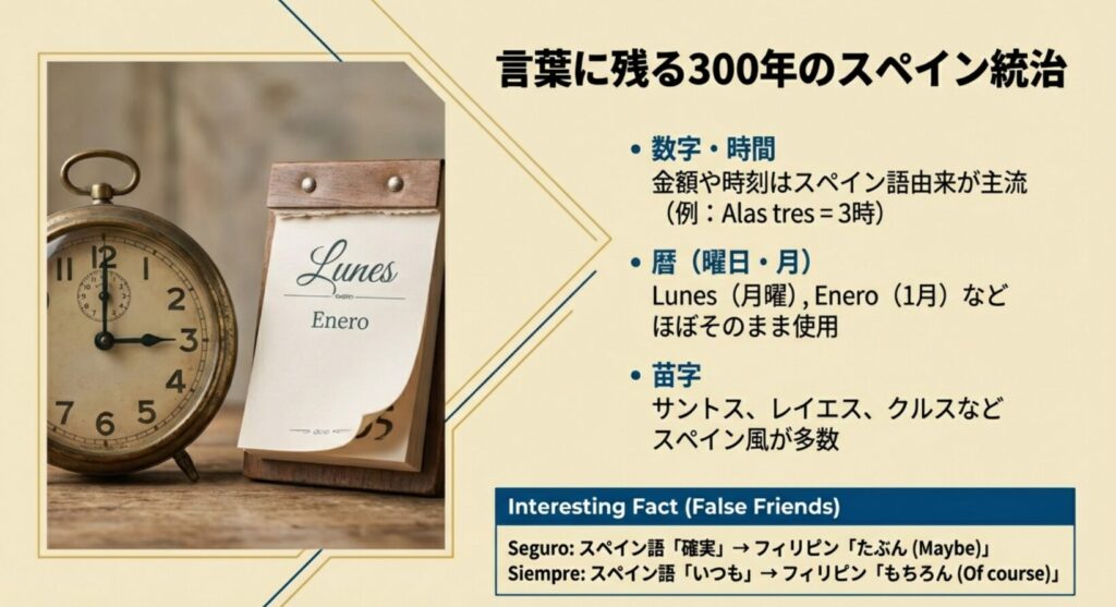 数字やカレンダー、苗字など、スペイン語から借用された言葉の例と、意味が変化した単語を紹介するスライド