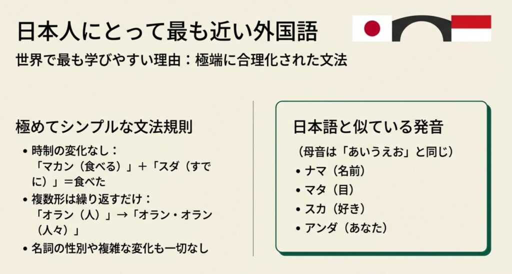 時制変化がなく単語を繰り返すだけの複数形など、シンプルな文法規則と日本語に似た発音の例