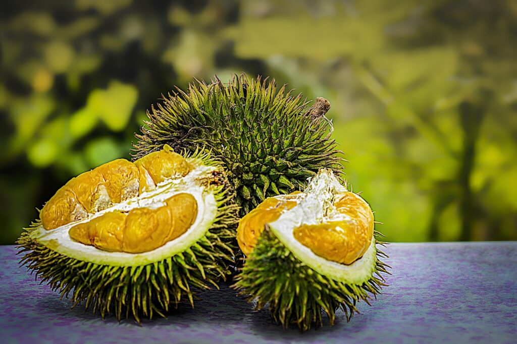 分割され、トゲがある皮の中に実が見えているドリアン